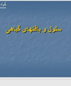 پاورپوینت سلول و بافتهای گیاهی