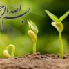 پاورپوینت اقدامات ویژه برای بیماری های منتقله از ناقلین