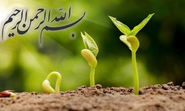 پاورپوینت اقدامات ویژه برای بیماری های منتقله از ناقلین
