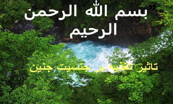 پاورپوینت تاثیر تغذیه بر جنسیت جنین
