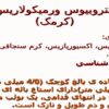 پاورپوینت انتروبیوس ورمیکولاریس (کرمک)