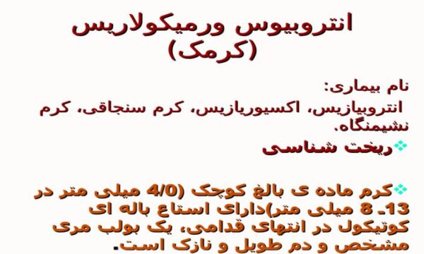 پاورپوینت انتروبیوس ورمیکولاریس (کرمک)