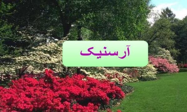 آرسنيک