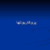 پروکاریوتها