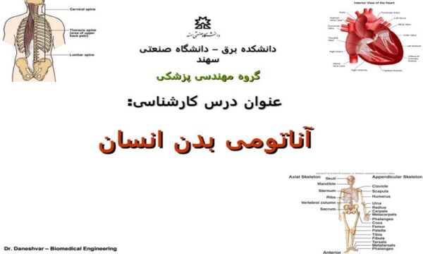پاورپوینت آناتومی بدن انسان