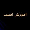 پاورپوینت اموزش اسیب