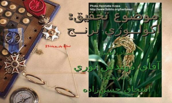 پاورپوینت اکولوژی برنج