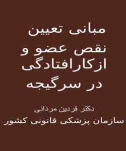 پاورپوینت مبانی تعیین نقص عضو و از کار افتادگی در سرگیجه