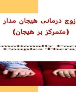 پاورپوینت زوج درمانی هیجان مدار