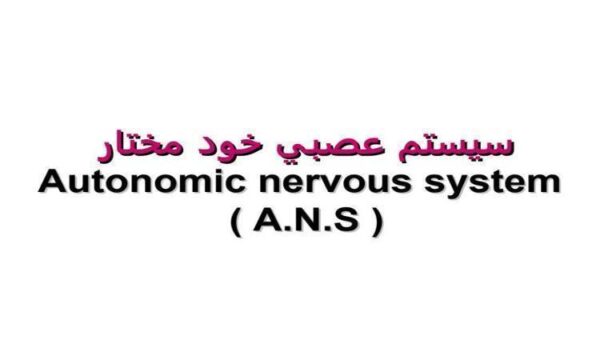 پاورپوینت سیستم عصبی خود مختار