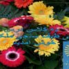 پاورپوینت مبانی طیف سنجی ملکولی