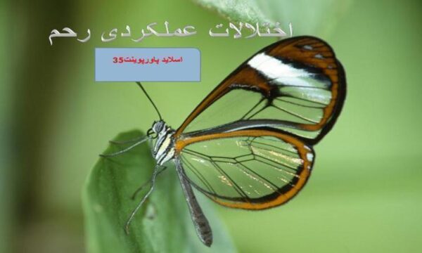 پاورپوینت اختلالات عملکردی رحم