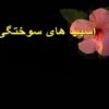 آسیب های سوختگی