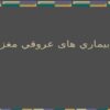 پاورپوینت بيماري های عروقي