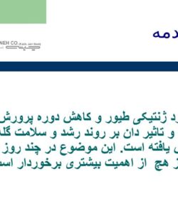 پاورپوینت استفاده از دان پلت در پرورش طیور