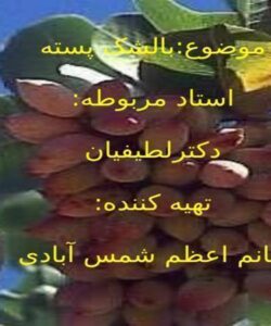 پاورپوینت بالشک پسته