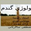 پاورپوینت اکولوژی گندم