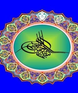پاورپوینت جوندگان