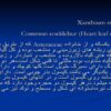 پاورپوینت توق