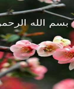 تاکتیک ppt