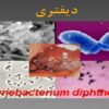 دیفتری ppt