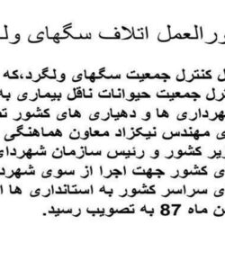 پاورپوینت دستورالعمل اتلاف سگهای ولگرد