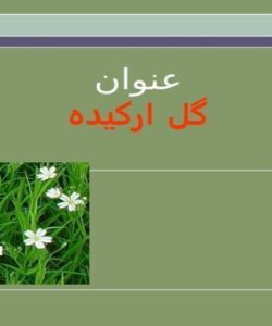 پاورپوینت گل اركيده