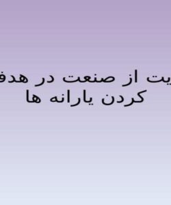 پاورپوینت حمایت از صنعت در هدفمند کردن یارانه ها