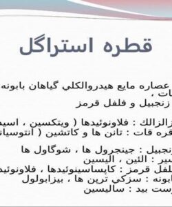 قطره استراگل ppt