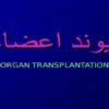 پاورپوینت پيوند اعضاء
