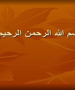 پاورپوینت دستور العمل اجرايي صدور مجوز استفاده از ظرفيت خالي