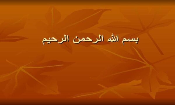 پاورپوینت دستور العمل اجرايي صدور مجوز استفاده از ظرفيت خالي