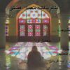 پروژه انسان طبيعت معماری تقارن