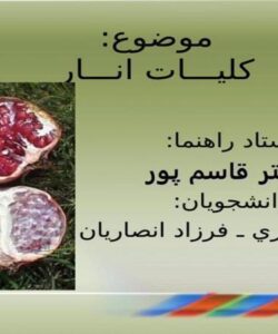 كليـــات انـــار ppt
