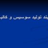 ساخت-انواع-سوسیس-در-ایران