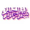 خريد برق از مولدهای مقیاس کوچک ppt