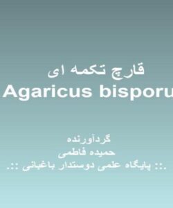قارچ تکمه ای ppt