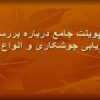 پاورپوینت جامع درباره بررسی و ارزیابی جوشکاری و انواع آن