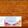 پاورپوینت پراكندگي جمعيت و زندگي روستايي در ناحيهي خزري