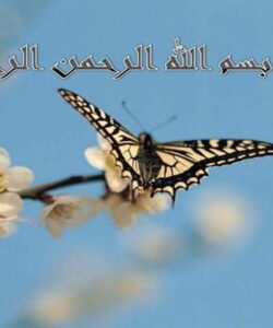 تربیت جنسی ppt