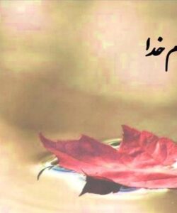 شرح حال روانپزشکی ppt