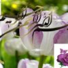 پاورپوینت تمرین خواندن