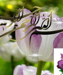 پاورپوینت تمرین خواندن