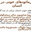 پاورپوینت ترماتودهای خونی در انسان