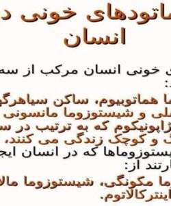 پاورپوینت ترماتودهای خونی در انسان