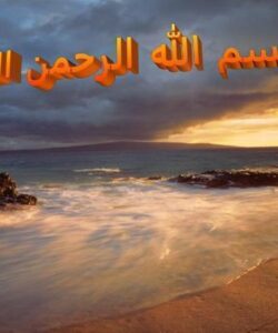قرار داد پیمانکاری ppt