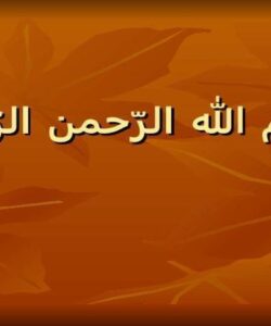 سینما در معماری ppt
