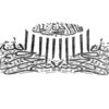 تحقیق درباره بررسی و ارزیابی بهره وری از نیروی انسانی ppt