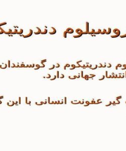 دیکروسیلوم دندریتیکوم ppt