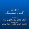 پاورپوینت گل سنگ